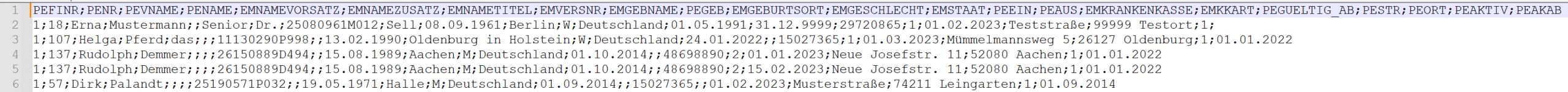 Satzbeschreibung Personalimport Screenshot